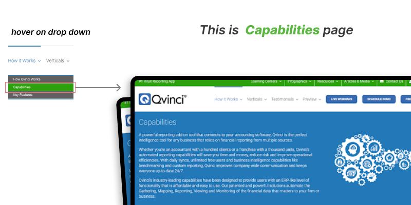 qvinci software